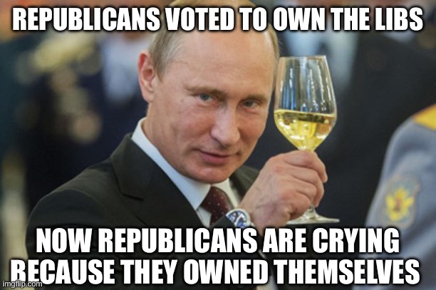 Putin Cheers | REPUBLICANS VOTED TO OWN THE LIBS; NOW REPUBLICANS ARE CRYING BECAUSE THEY OWNED THEMSELVES | image tagged in putin cheers | made w/ Imgflip meme maker