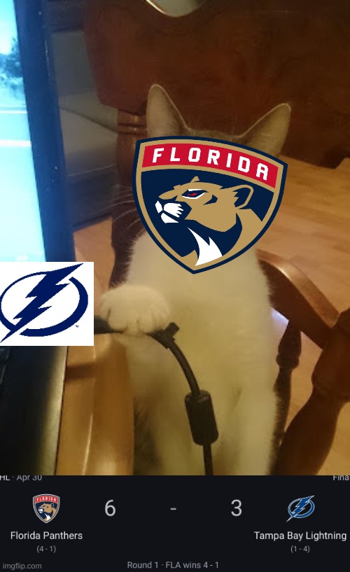 Florida Panthers meme | image tagged in memes,nhl,hockey,ice hockey,florida,sports | made w/ Imgflip meme maker