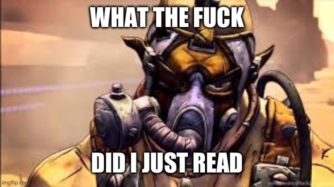 Kreig borderlands | WHAT THE FUCK DID I JUST READ | image tagged in kreig borderlands | made w/ Imgflip meme maker