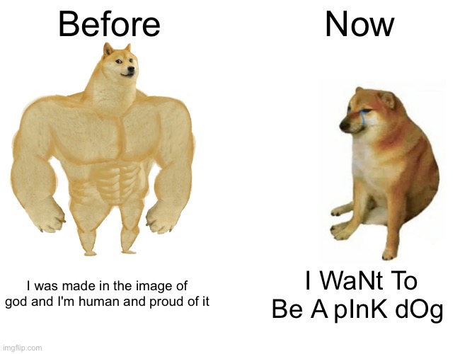 Buff Doge vs. Cheems | Before; Now; I was made in the image of god and I'm human and proud of it; I WaNt To Be A pInK dOg | image tagged in memes,buff doge vs cheems | made w/ Imgflip meme maker