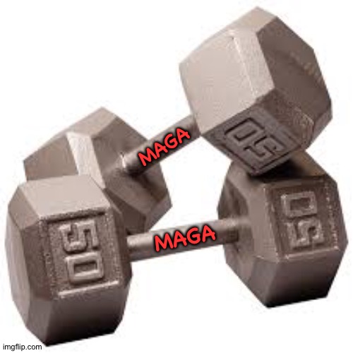 Dumbbells | MAGA MAGA | image tagged in dumbbells | made w/ Imgflip meme maker
