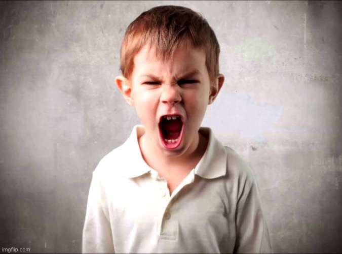 Kid yelling | image tagged in kid yelling | made w/ Imgflip meme maker
