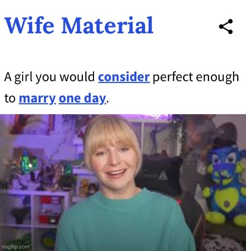 image tagged in wife material | made w/ Imgflip meme maker