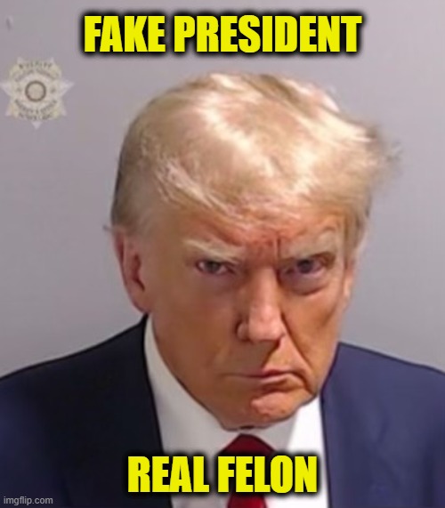 Fake President | FAKE PRESIDENT; REAL FELON | image tagged in donald trump mugshot | made w/ Imgflip meme maker