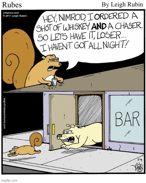 Rubes; By Leigh Rubin | image tagged in comics,rubes,squirrel,bar,chaser,dog | made w/ Imgflip meme maker