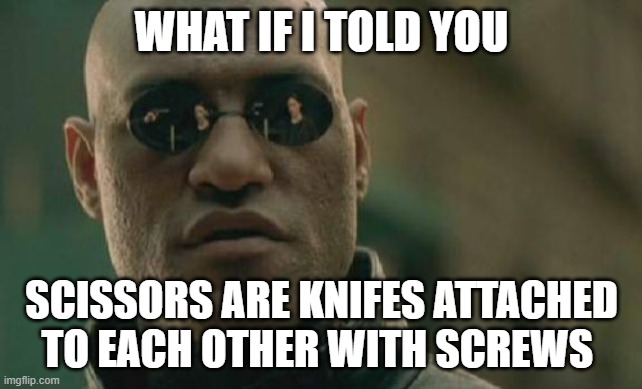 hhhmmmmm | WHAT IF I TOLD YOU; SCISSORS ARE KNIFES ATTACHED TO EACH OTHER WITH SCREWS | image tagged in memes,matrix morpheus | made w/ Imgflip meme maker
