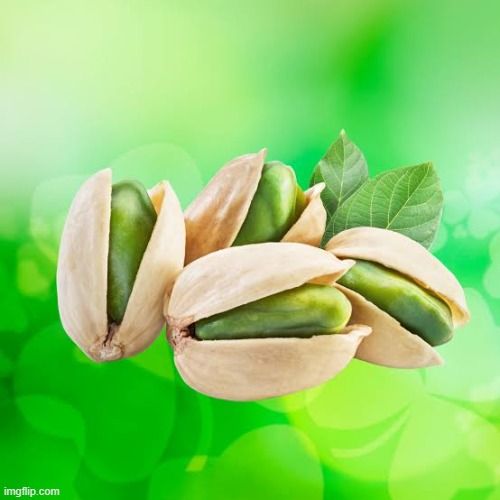 frutiger aero pistachio | made w/ Imgflip meme maker