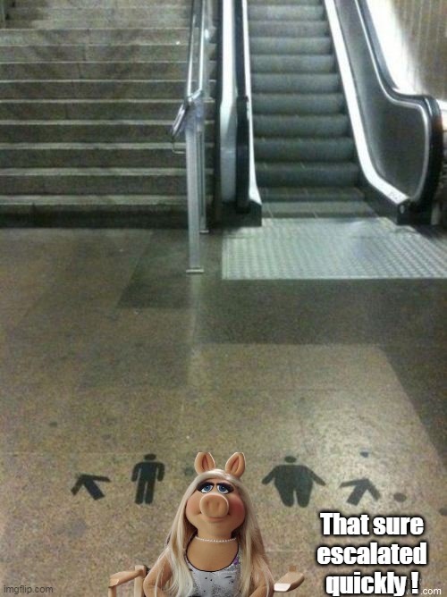 That sure escalated quickly ! | made w/ Imgflip meme maker