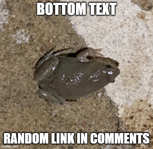 fog | BOTTOM TEXT; RANDOM LINK IN COMMENTS | image tagged in fog | made w/ Imgflip meme maker