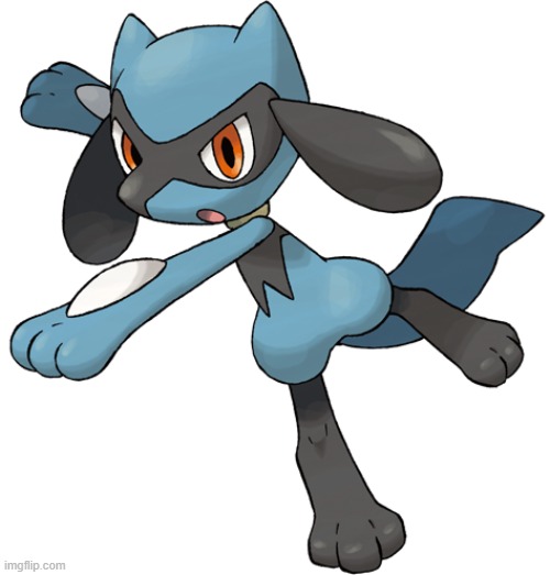 Riolu | image tagged in riolu | made w/ Imgflip meme maker