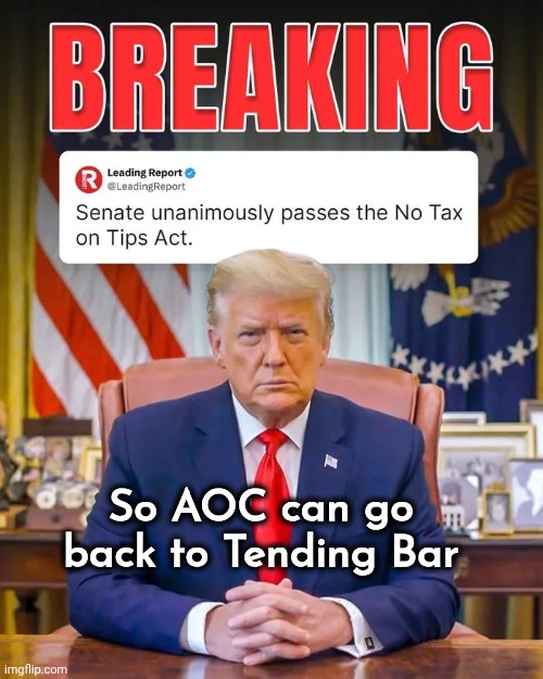 Seems like a good idea | So AOC can go back to Tending Bar | image tagged in make aoc bartend again,maga,winning,give me more | made w/ Imgflip meme maker