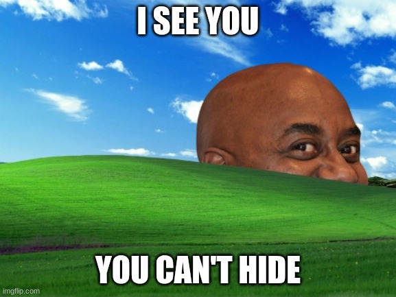I see you | I SEE YOU; YOU CAN'T HIDE | image tagged in i see you | made w/ Imgflip meme maker