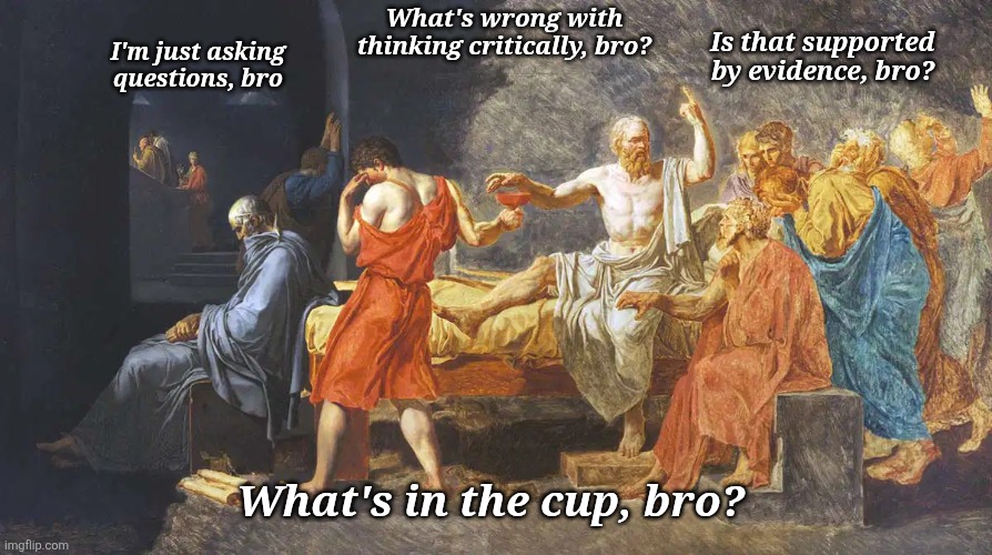 Is this really a question? | What's wrong with thinking critically, bro? Is that supported by evidence, bro? I'm just asking questions, bro; What's in the cup, bro? | image tagged in what's in the cup,socrates,questions | made w/ Imgflip meme maker