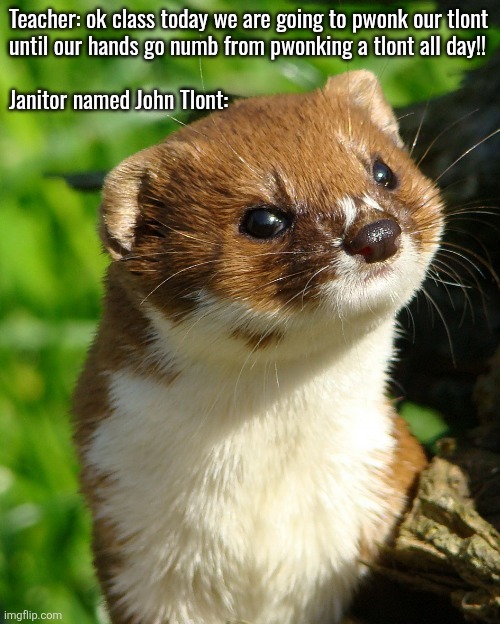 Weasel | Teacher: ok class today we are going to pwonk our tlont
until our hands go numb from pwonking a tlont all day!!
 
Janitor named John Tlont: | image tagged in weasel | made w/ Imgflip meme maker