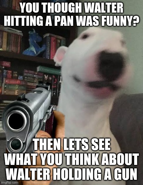 walter slide | YOU THOUGH WALTER HITTING A PAN WAS FUNNY? THEN LETS SEE WHAT YOU THINK ABOUT WALTER HOLDING A GUN | image tagged in walter holding gun | made w/ Imgflip meme maker