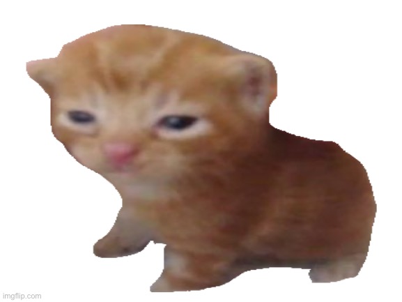 say hi to hubert everyone dont hurt his feelings | made w/ Imgflip meme maker