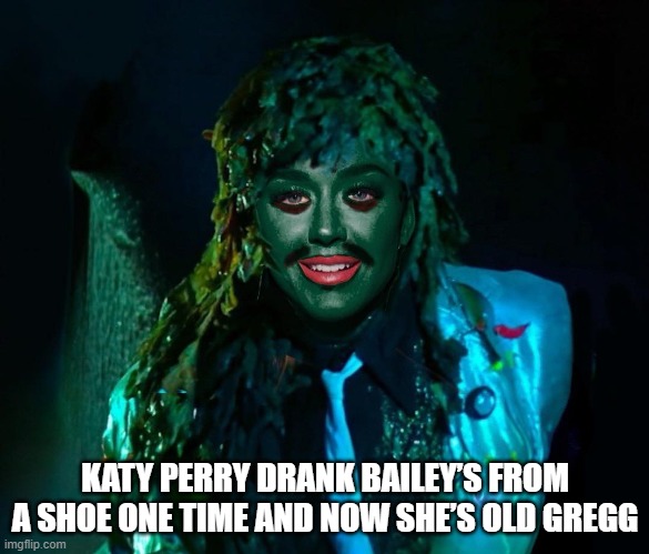 Katy Perry is now | KATY PERRY DRANK BAILEY’S FROM A SHOE ONE TIME AND NOW SHE’S OLD GREGG | image tagged in katy perry,old gregg,funny | made w/ Imgflip meme maker