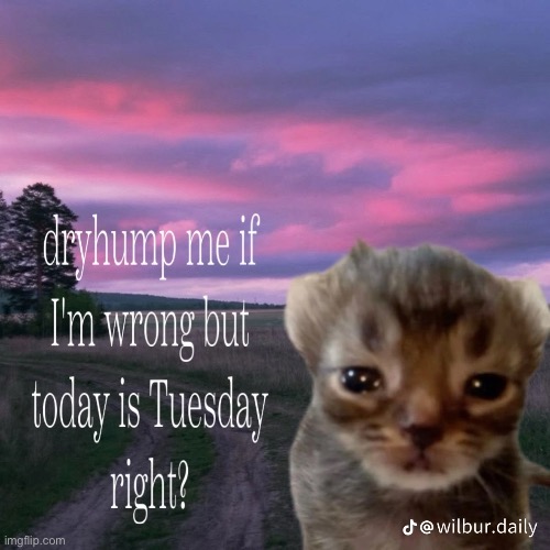 Im not sure how much longer i can take the crippling paranoia and fear im not good enough | made w/ Imgflip meme maker