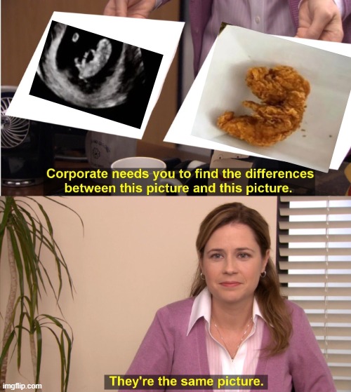 Chicken Baby | image tagged in memes,they're the same picture | made w/ Imgflip meme maker