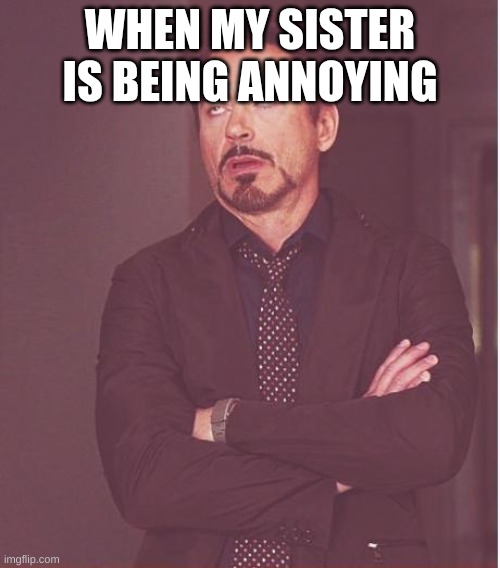 Face You Make Robert Downey Jr | WHEN MY SISTER IS BEING ANNOYING | image tagged in memes,face you make robert downey jr | made w/ Imgflip meme maker