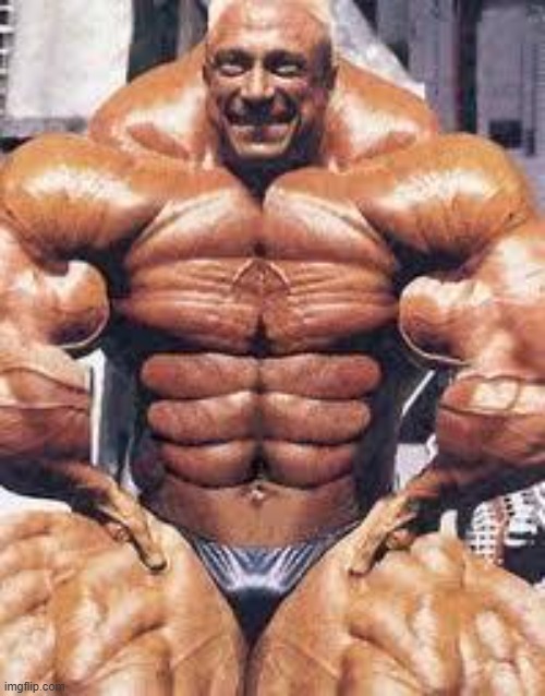 Body Builder | image tagged in body builder | made w/ Imgflip meme maker
