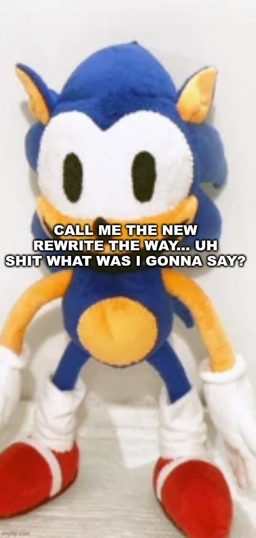 RewriteSonic plush | CALL ME THE NEW REWRITE THE WAY... UH SHIT WHAT WAS I GONNA SAY? | image tagged in rewritesonic plush | made w/ Imgflip meme maker
