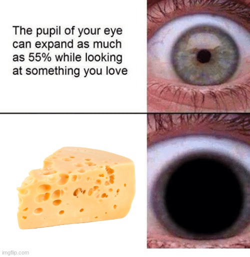 the pupil of your eye can expand | image tagged in the pupil of your eye can expand | made w/ Imgflip meme maker