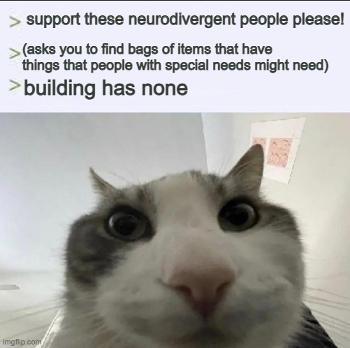 proceed to quit job | support these neurodivergent people please! (asks you to find bags of items that have things that people with special needs might need); building has none | image tagged in cat looks inside | made w/ Imgflip meme maker