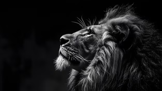 High Quality majestic lion Blank Meme Template