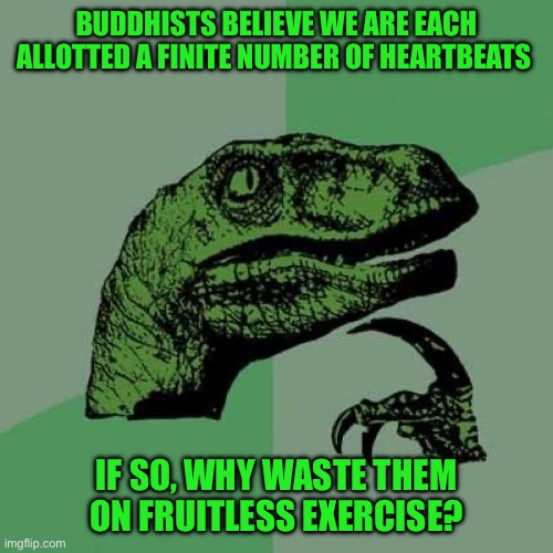 Philosoraptor | BUDDHISTS BELIEVE WE ARE EACH ALLOTTED A FINITE NUMBER OF HEARTBEATS; IF SO, WHY WASTE THEM ON FRUITLESS EXERCISE? | image tagged in memes,philosoraptor | made w/ Imgflip meme maker