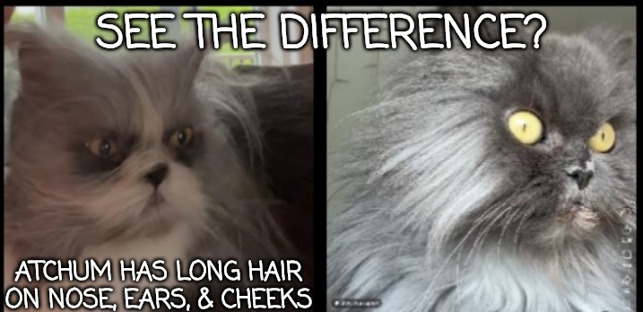 SEE THE DIFFERENCE? ATCHUM HAS LONG HAIR ON NOSE, EARS, & CHEEKS | made w/ Imgflip meme maker