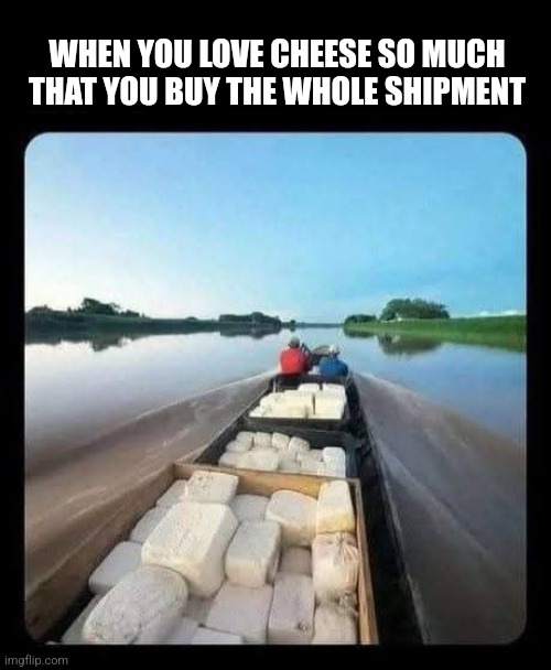 Smuggler's Bleus | WHEN YOU LOVE CHEESE SO MUCH THAT YOU BUY THE WHOLE SHIPMENT | image tagged in cheese,lovers,cocaine,smugglers | made w/ Imgflip meme maker