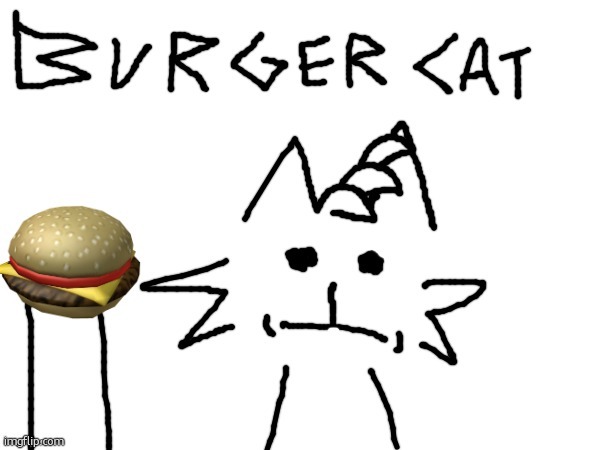 BURGER CAT | image tagged in burger cat | made w/ Imgflip meme maker