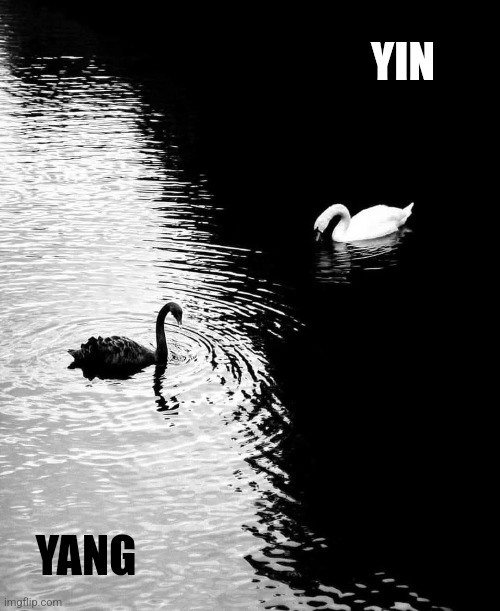 YIN; YANG | made w/ Imgflip meme maker