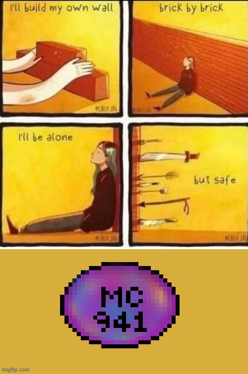 You are NOT safe. | image tagged in i'll build my own wall | made w/ Imgflip meme maker