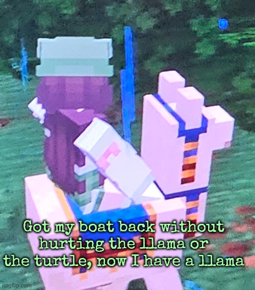 Got my boat back without hurting the llama or the turtle, now I have a llama | made w/ Imgflip meme maker
