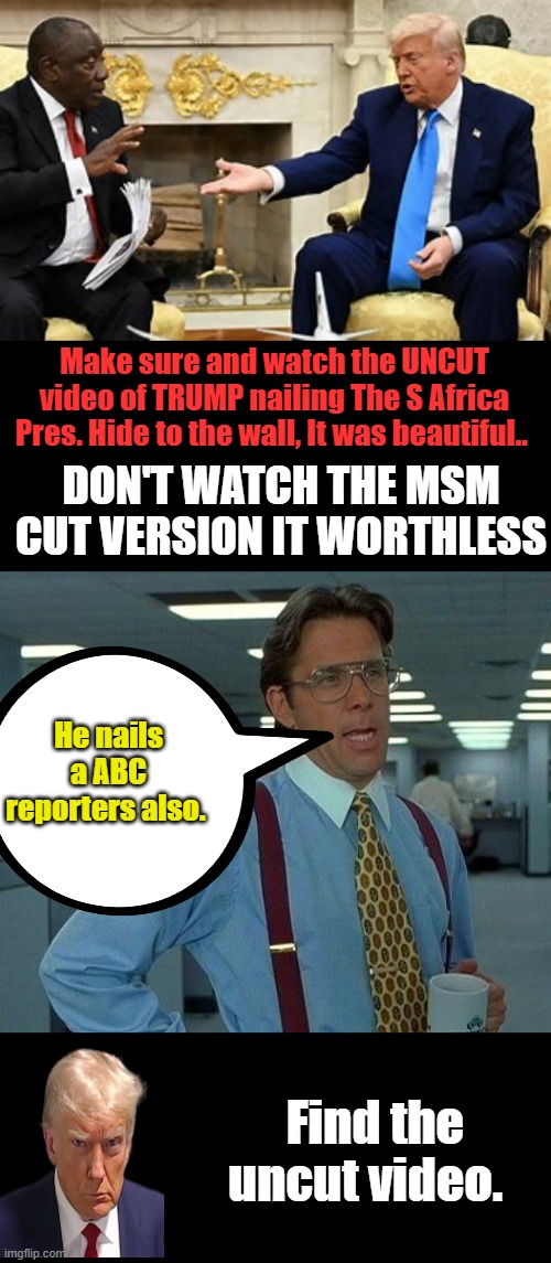Make sure and watch the UNCUT video of TRUMP nailing The S Africa Pres. Hide to the wall, It was beautiful.. DON'T WATCH THE MSM CUT VERSION IT WORTHLESS; He nails a ABC reporters also. Find the uncut video. | image tagged in memes,that would be great | made w/ Imgflip meme maker