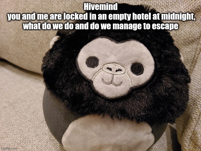 hivemind whee | Hivemind
 you and me are locked in an empty hotel at midnight, what do we do and do we manage to escape | image tagged in gorilla plush | made w/ Imgflip meme maker
