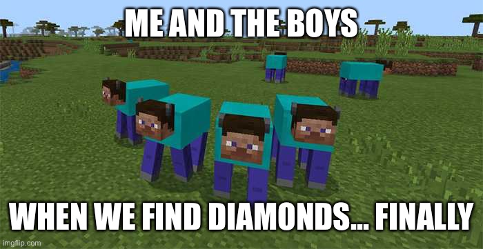 me and the boys | ME AND THE BOYS; WHEN WE FIND DIAMONDS... FINALLY | image tagged in me and the boys | made w/ Imgflip meme maker