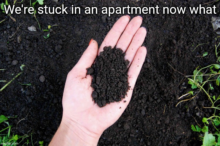 LOAM | We're stuck in an apartment now what | image tagged in loam | made w/ Imgflip meme maker