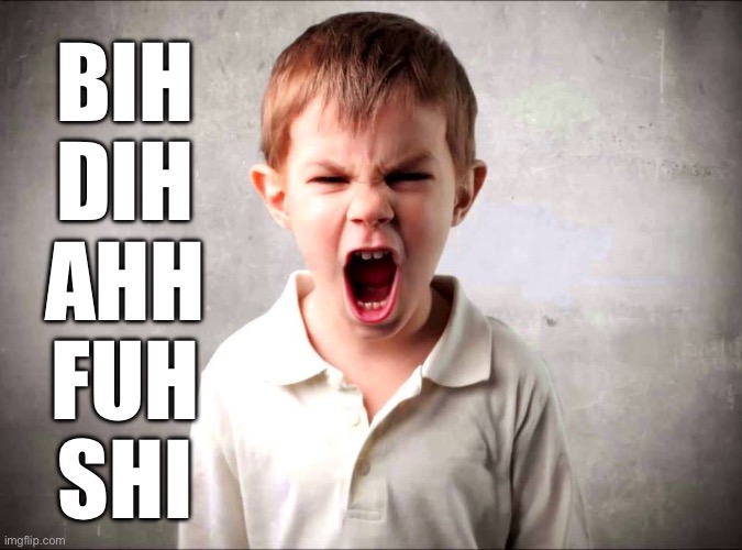 Kid yelling | BIH
DIH
AHH
FUH
SHI | image tagged in kid yelling | made w/ Imgflip meme maker