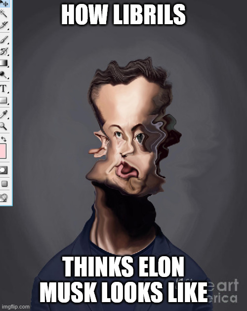 elon | HOW LIBRILS; THINKS ELON MUSK LOOKS LIKE | image tagged in elon musk | made w/ Imgflip meme maker