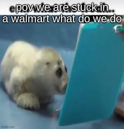 erm what the freak.. | pov we are stuck in a walmart what do we do | image tagged in erm what the freak | made w/ Imgflip meme maker