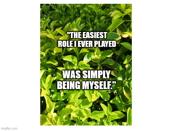 "THE EASIEST ROLE I EVER PLAYED; WAS SIMPLY BEING MYSELF." | image tagged in americana | made w/ Imgflip meme maker