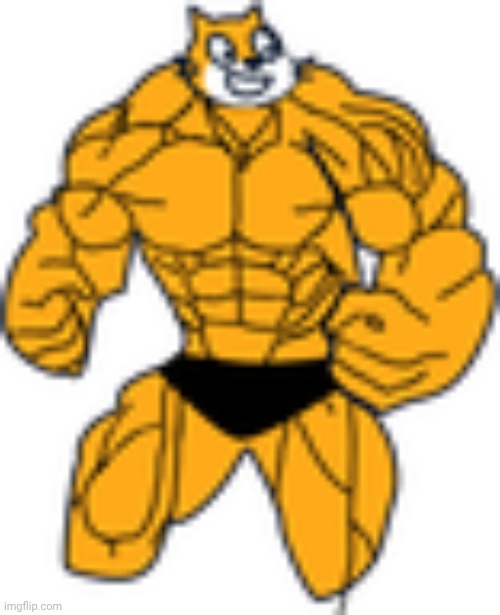 punch cat | image tagged in buff scratch cat ahhhhh | made w/ Imgflip meme maker