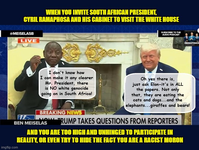 DISASTER IN THE OVAL OFFICE-It all could have been avoided if they'd just gifted him another plane | WHEN YOU INVITE SOUTH AFRICAN PRESIDENT, CYRIL RAMAPHOSA AND HIS CABINET TO VISIT THE WHITE HOUSE; Oh yes there is, just ask Elon-it's in ALL the papers. Not only that, they are eating the cats and dogs...and the elephants...giraffes and bears! I don't know how I can make it any clearer Mr. President, there is NO white genocide going on in South Africa! AND YOU ARE TOO HIGH AND UNHINGED TO PARTICIPATE IN REALITY, OR EVEN TRY TO HIDE THE FACT YOU ARE A RACIST MORON | image tagged in impeach trump,donald trump memes,government corruption,trump is a moron,donald trump the clown | made w/ Imgflip meme maker