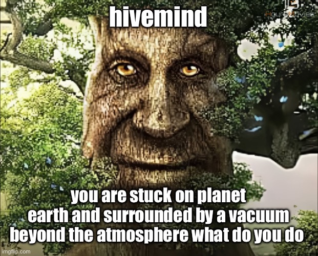tree | hivemind; you are stuck on planet earth and surrounded by a vacuum beyond the atmosphere what do you do | image tagged in tree | made w/ Imgflip meme maker