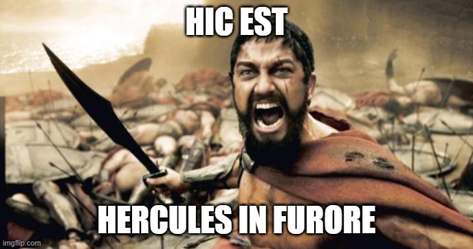 hic est hercules in furore | HIC EST; HERCULES IN FURORE | image tagged in memes,sparta leonidas | made w/ Imgflip meme maker