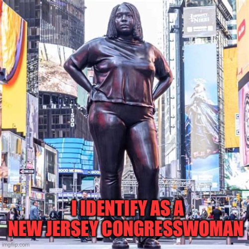 Squad Wannabe | I IDENTIFY AS A NEW JERSEY CONGRESSWOMAN | image tagged in gifs,memes,democrats,angry woman,congress,new jersey | made w/ Imgflip meme maker