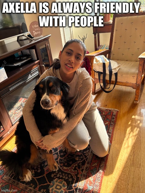 Axella Is Friendly | AXELLA IS ALWAYS FRIENDLY 
WITH PEOPLE | image tagged in dogs | made w/ Imgflip meme maker